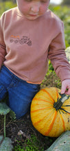 Load image into Gallery viewer, Pumpkin Sweatshirt