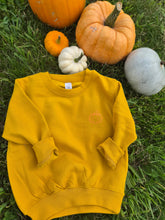 Load image into Gallery viewer, Pumpkin Picker Sweatshirt