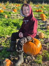 Load image into Gallery viewer, Mini Hawes Hoodie