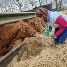 Load image into Gallery viewer, The Maisie