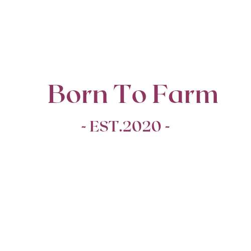 E- Gift Card